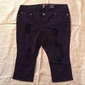 Distressed TORRID capris